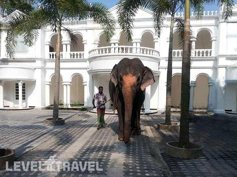 Фотография Bougain Villa Guest