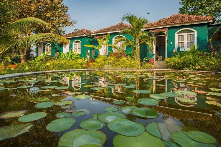Aquatica Resort & Spa
