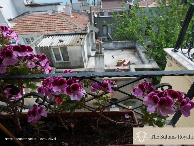 Фотография Sultans Royal Фотография Sultans Royal