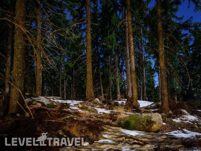 Фотография Neviastata Apartment