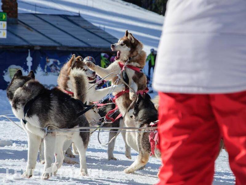 Фотография Neviastata Apartment
