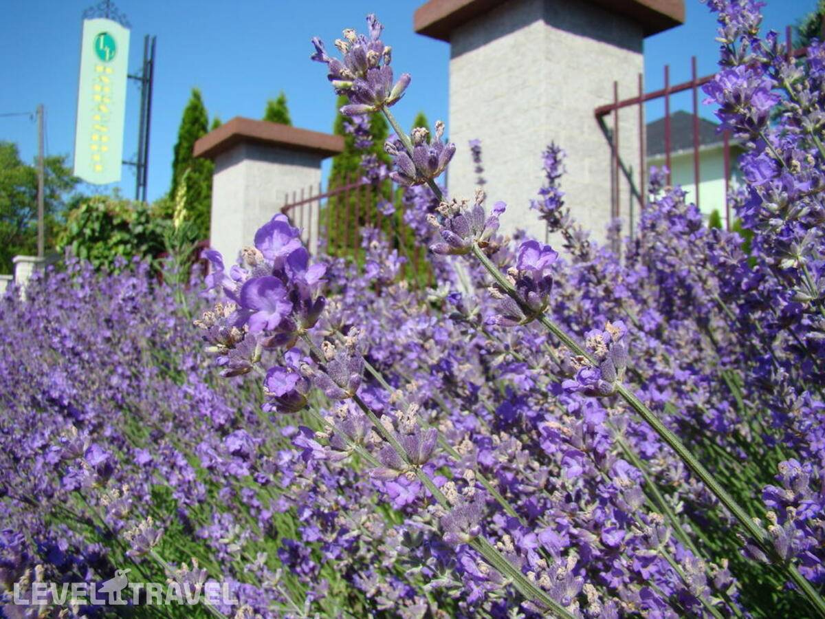 фотографии отеля Hotel Club Tihany в Венгрия(Медье Веспрем) - фото №15