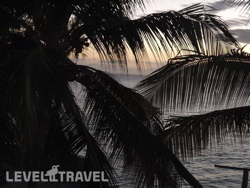 Фотография Nungwi Paradise Beach Bungalows
