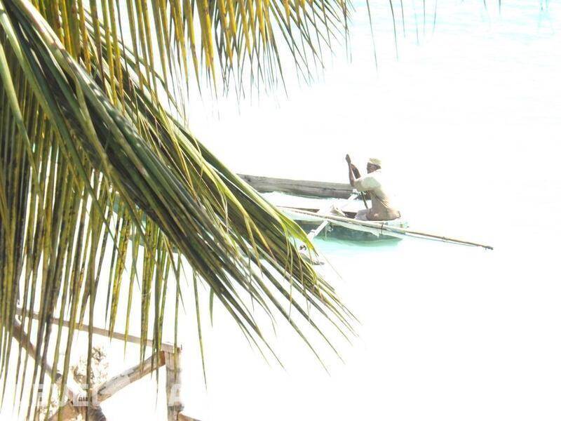 Фотография Nungwi Paradise Beach Bungalows