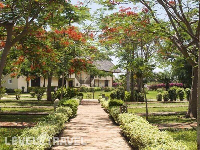 Фотография Emerald Dream Of Zanzibar