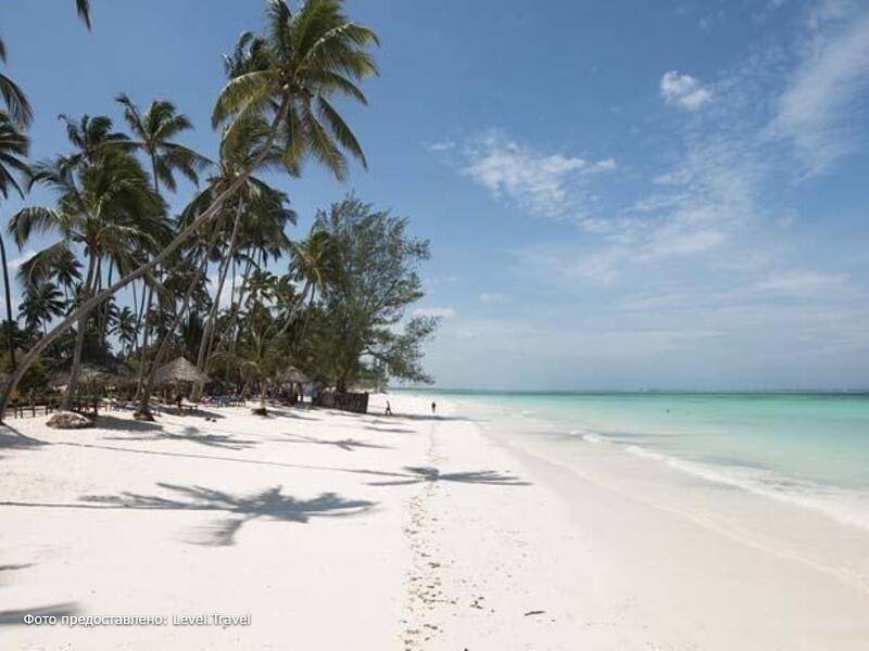 Фотография Emerald Dream Of Zanzibar