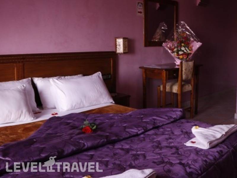 Фотография Majorelle