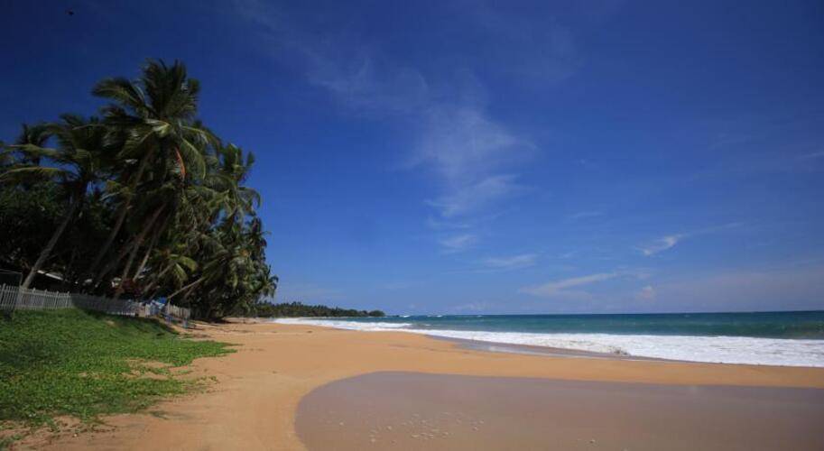 Ocean Of Life Ayurvedic Resort