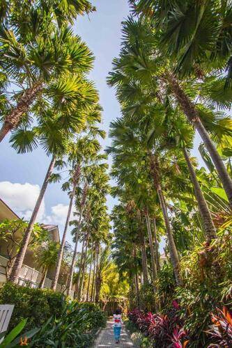 Montigo Resort