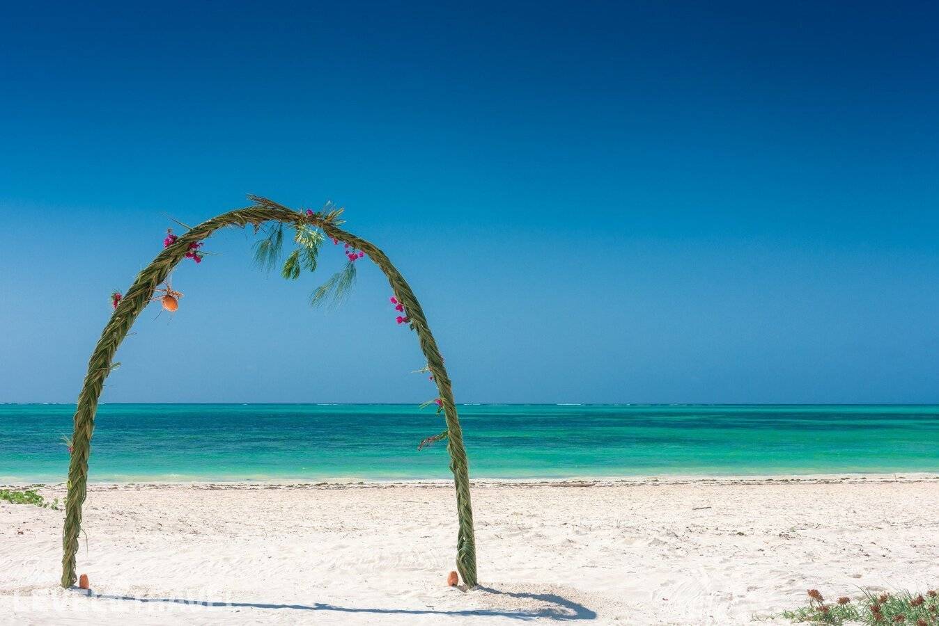 фотографии отеля Hakuna Majiwe Beach Lodge в Танзания(Паже) - фото №34