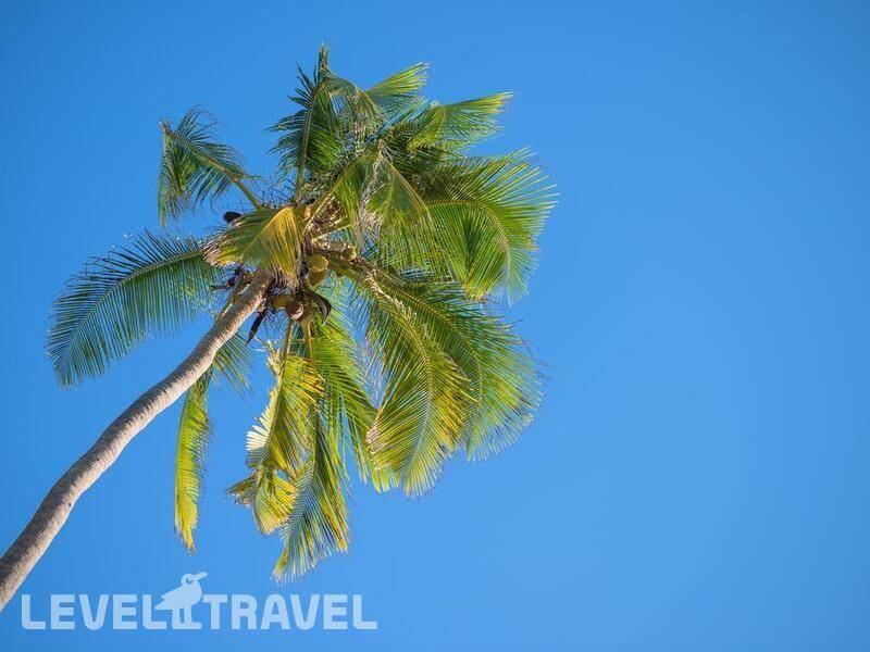 Фотография Hakuna Majiwe Beach Lodge