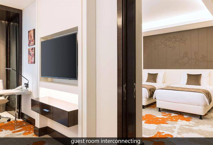 Radisson Blu Hotel