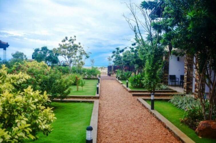 Dream Garden