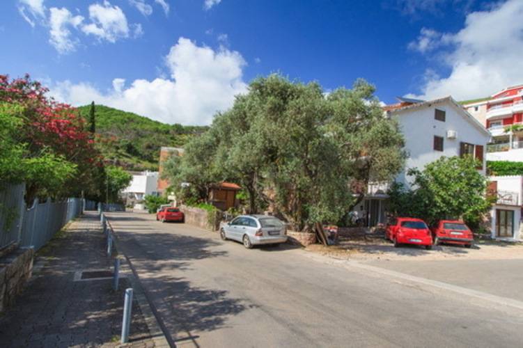 Apartments Dalia
