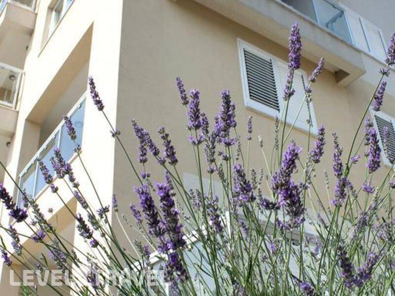 Фотография Apartments Lavanda