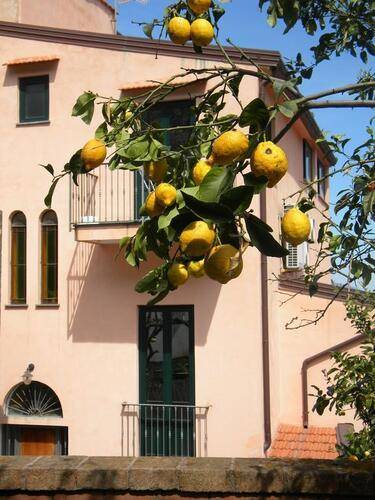 Residence Villa Rosmary Apart, Сорренто