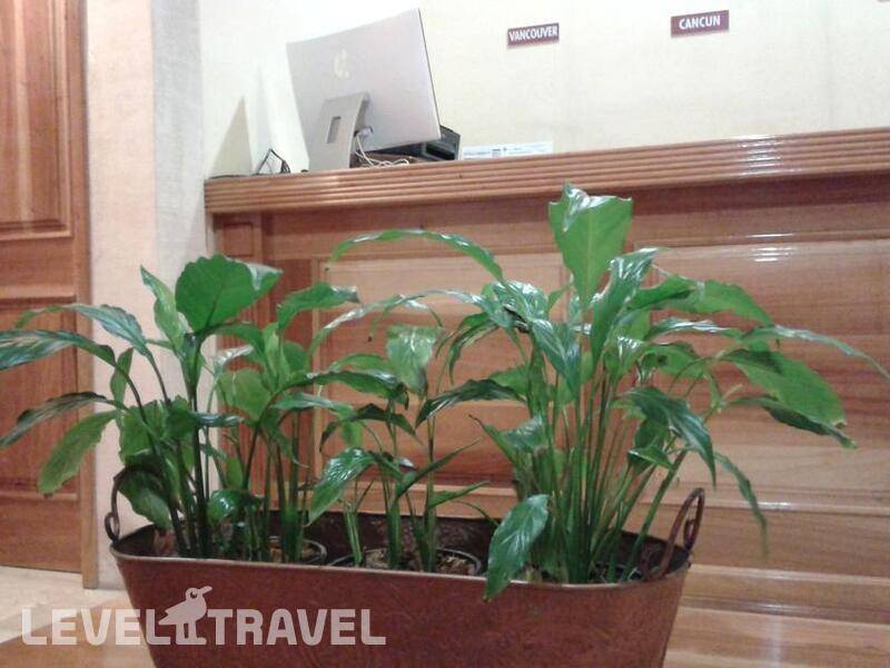 Фотография Cancun International Suites