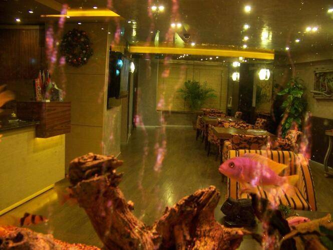 Sureyya Hotel