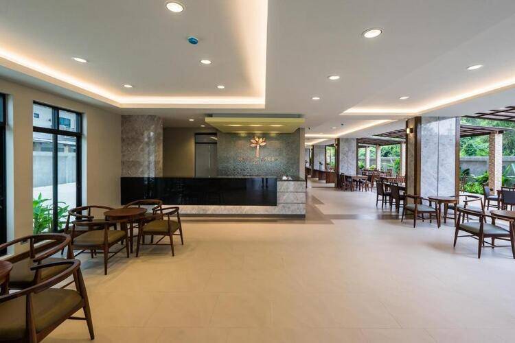 Olive Tree Hotel