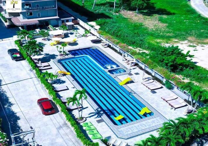 Olive Tree Hotel