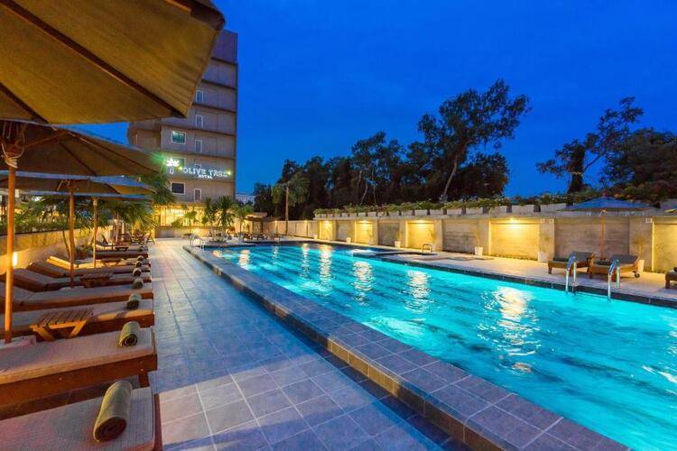 Olive Tree Hotel