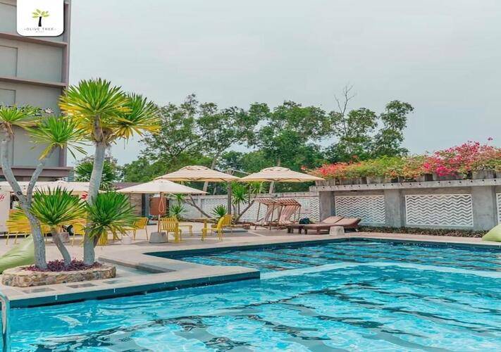Olive Tree Hotel