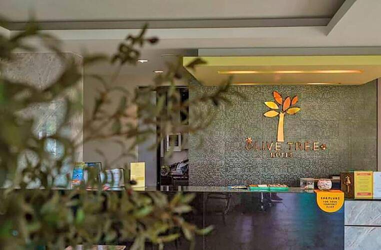 Olive Tree Hotel