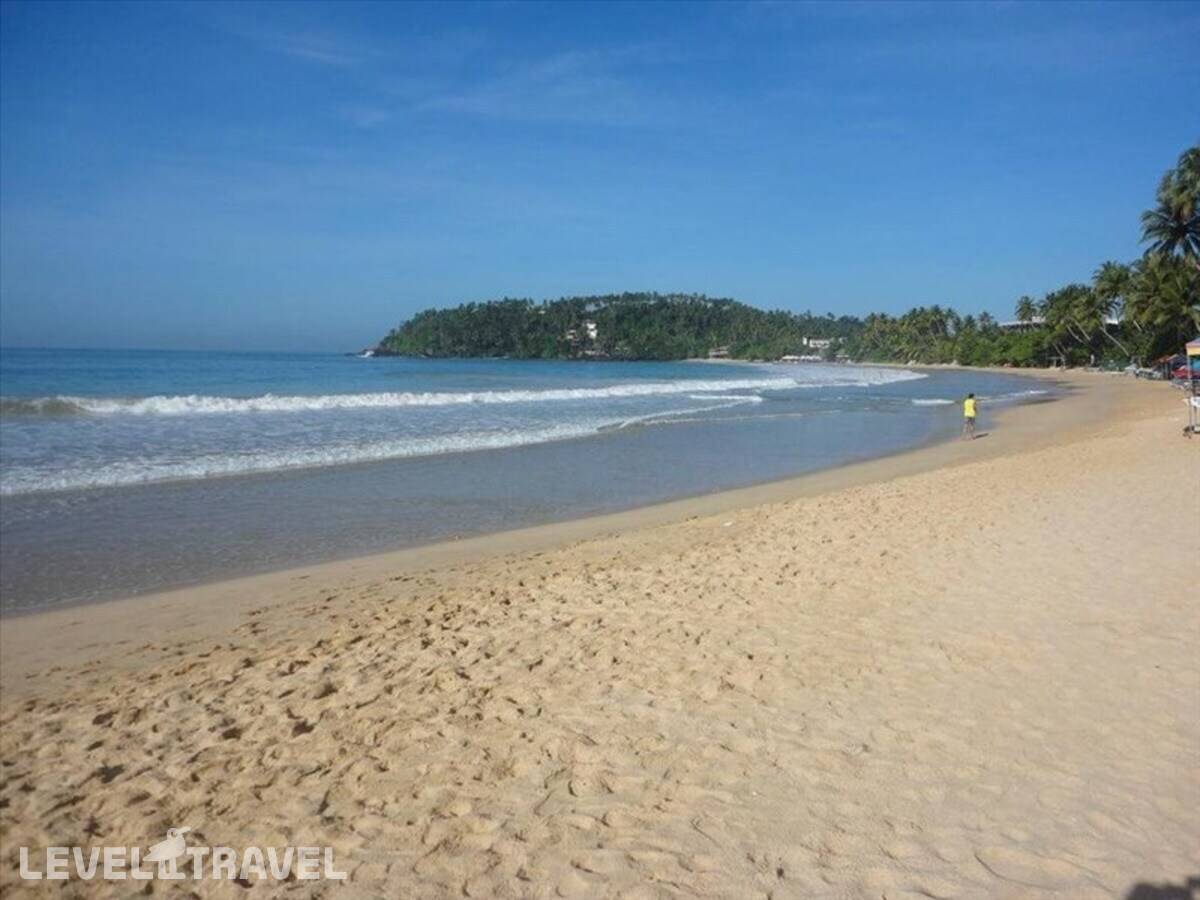 фотографии отеля Ocean Reach Holidays в Шри-Ланка(Мирисса) - фото №9