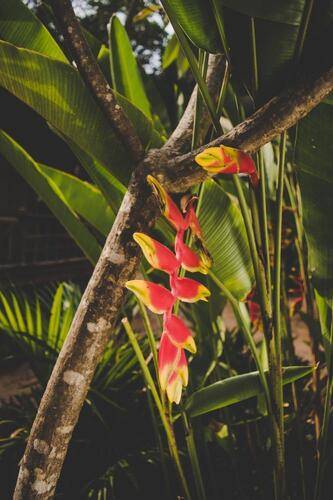 Anahata Retreat Hotel