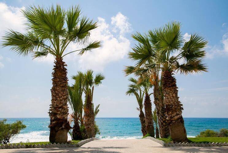 Louis Paphos Breeze