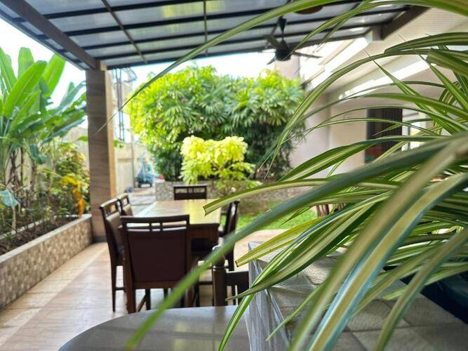 The Mangrove Hotel