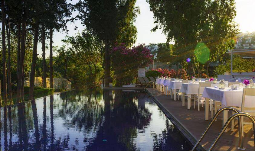LIV Hotel By Bellazure