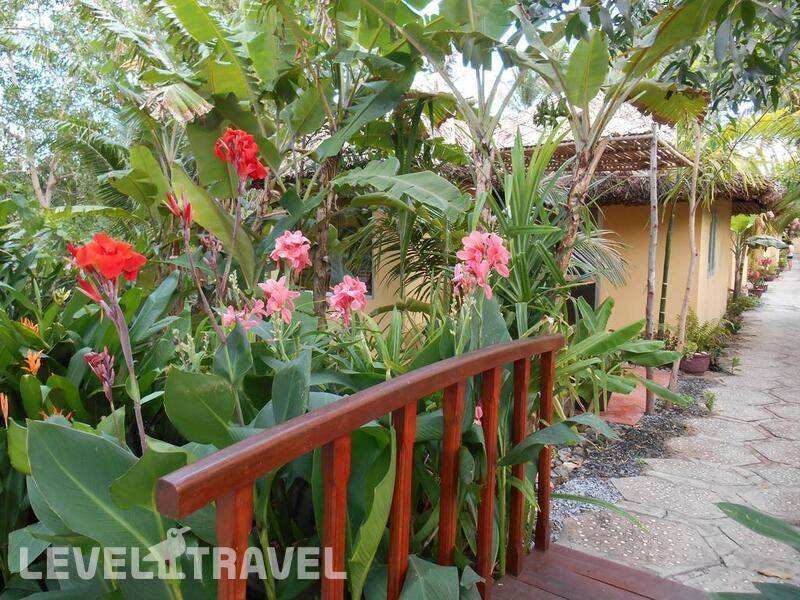 Фотография Thuy - Gunter Garden Bungalow