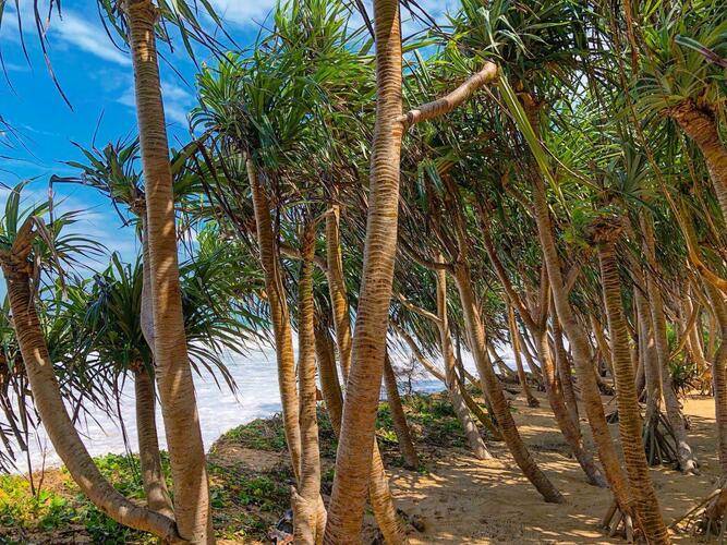 Baba Beach Club Phuket Managed By Sri Panwa