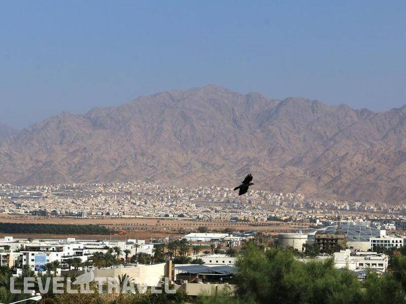 Фотография Sea Princess Motel