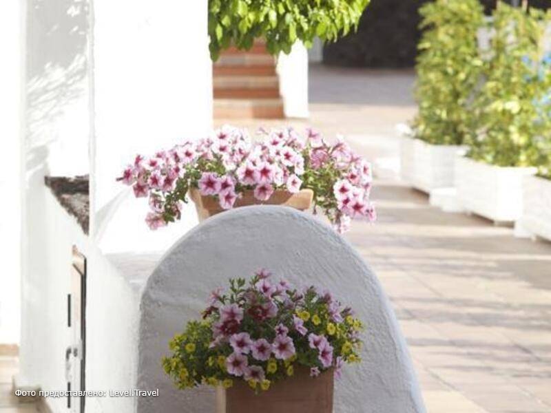 Фотография The Suites At Beverly Hills Tenerife