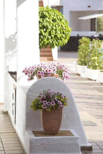 The Suites At Beverly Hills Tenerife