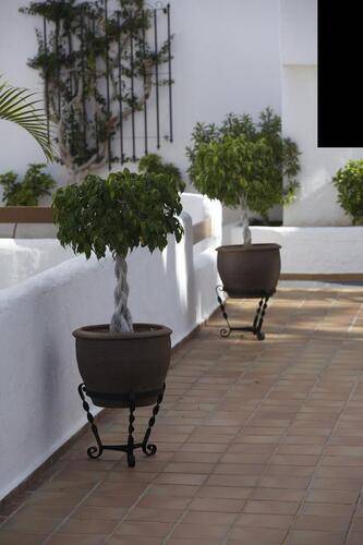 The Suites At Beverly Hills Tenerife