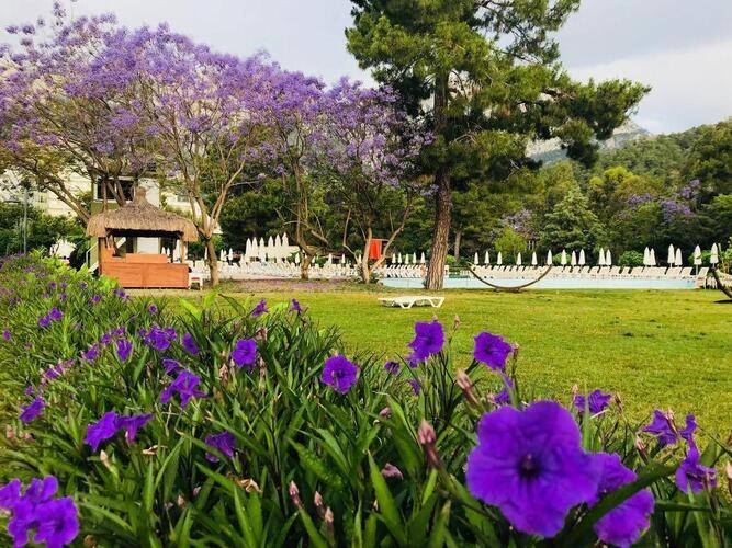 Ma Biche Kemer By Werde Hotels (Ex.Miarosa Ghazal Resort)