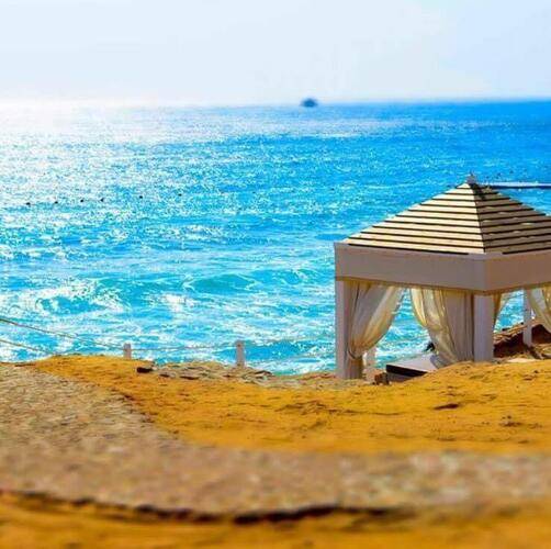 Royal Monte Carlo Sharm (Adults Only 16+)