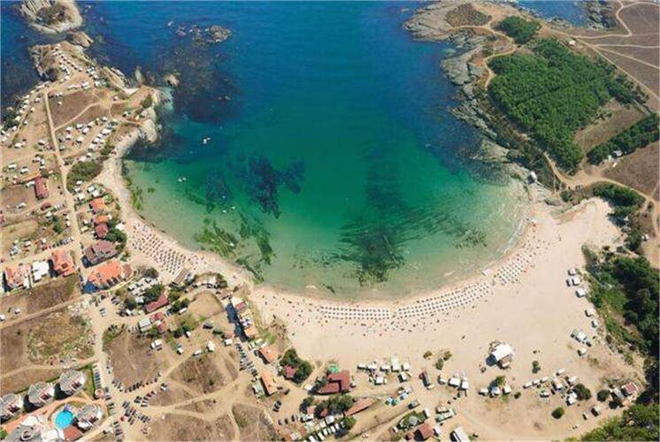 Arapy Del Sol