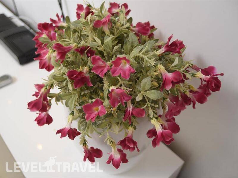 Фотография City Apartments Eilat Фотография City Apartments Eilat