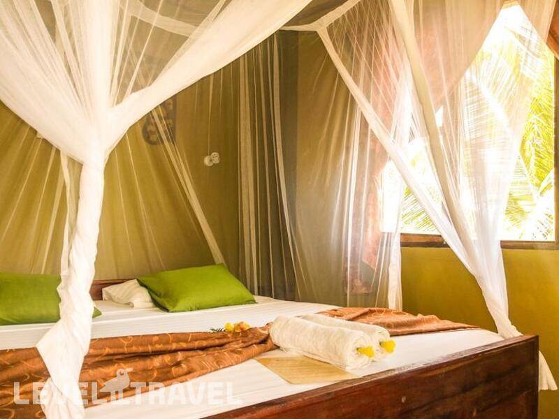 Фотография Kilima Kidogo Guest House
