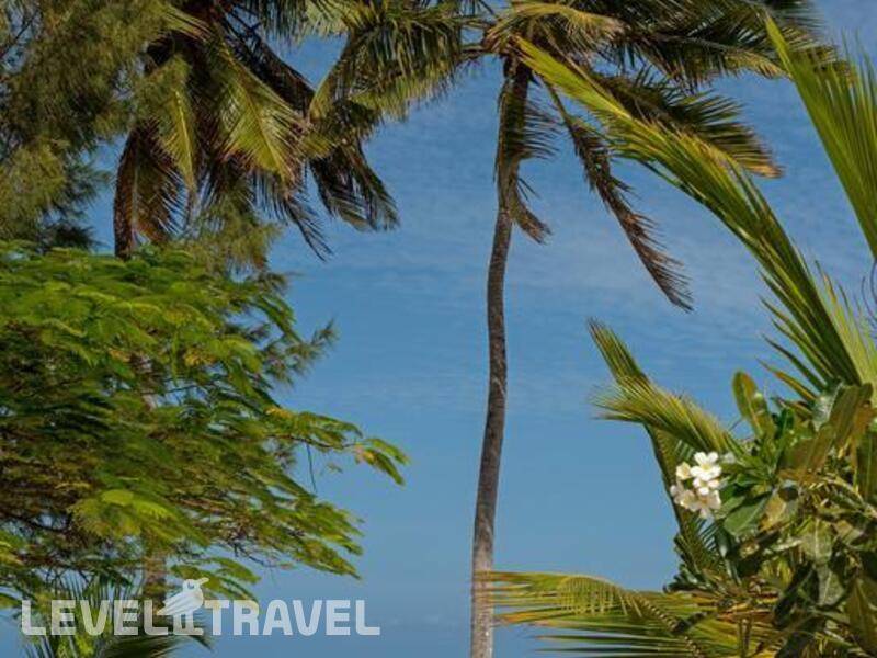 Фотография Indigo Beach Zanzibar Hotel