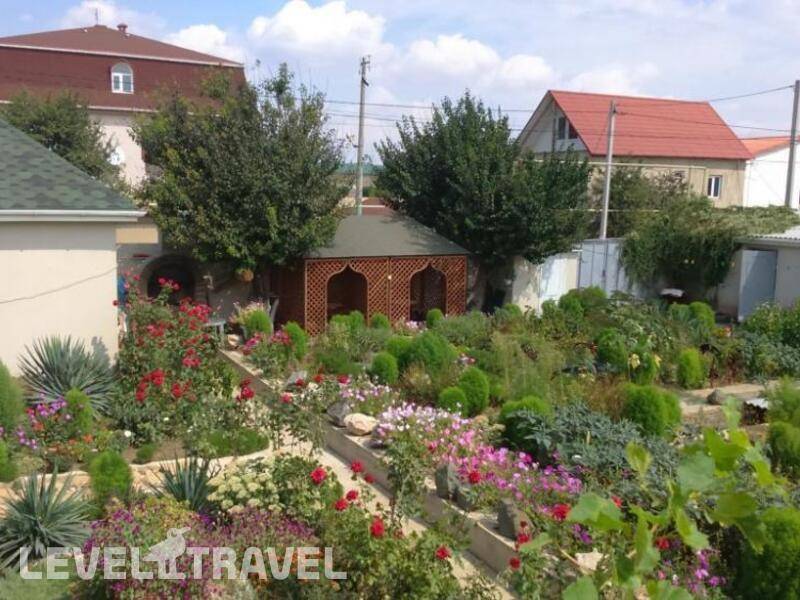 Фотография ГД Дилия