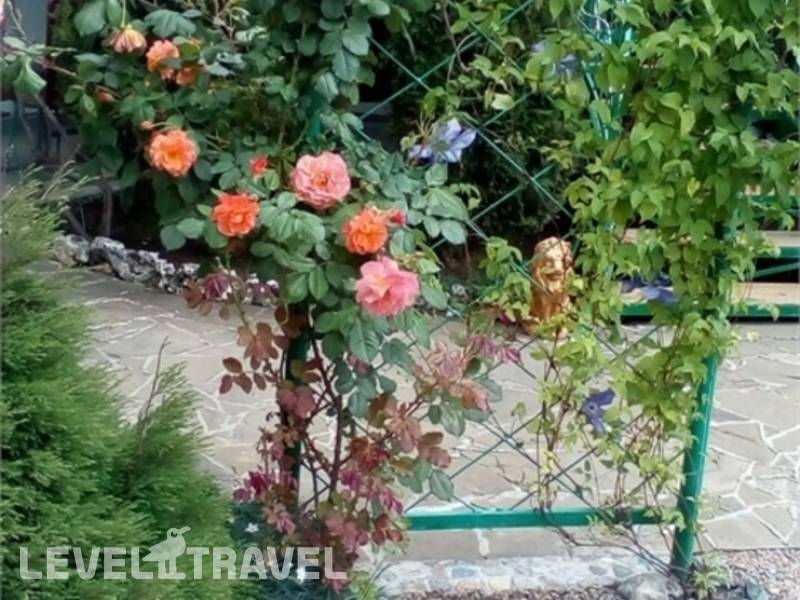 Фотография Отель Анастасия Фотография Отель Анастасия