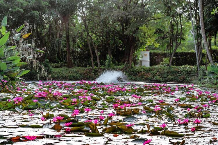 Marriott's Phuket Beach Club