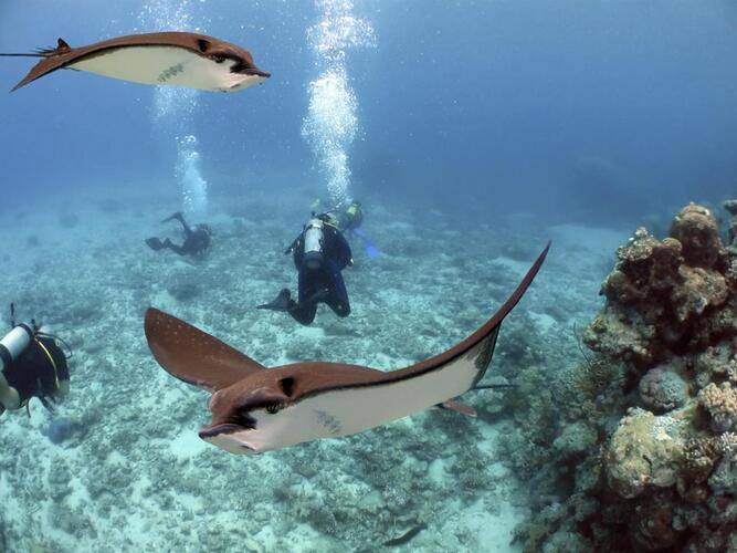 Atlantis Sanya