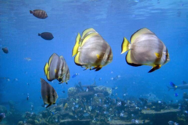 Atlantis Sanya