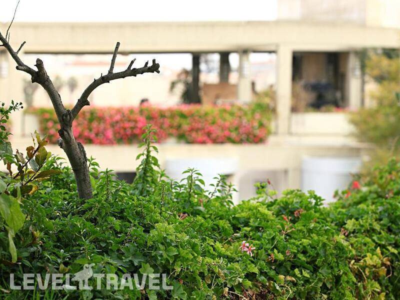 Фотография Beit Shmuel